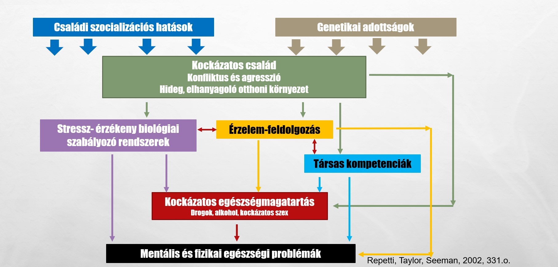 A családi szocializációs hatások és genetikai kockázatok összefüggését ábrázoló kép.